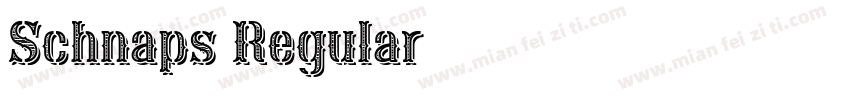 Schnaps Regular字体转换